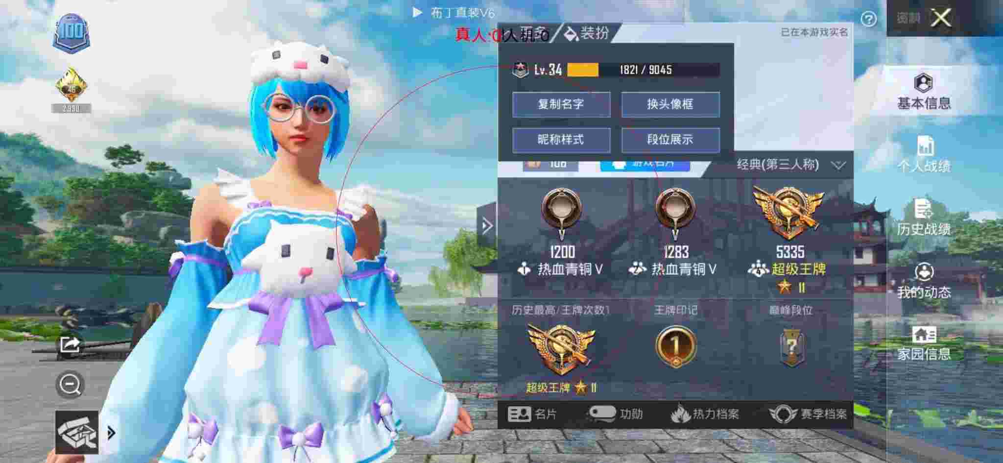 和平精英布丁直装透视 - 和平精英狗狗套装图片辅助预览图